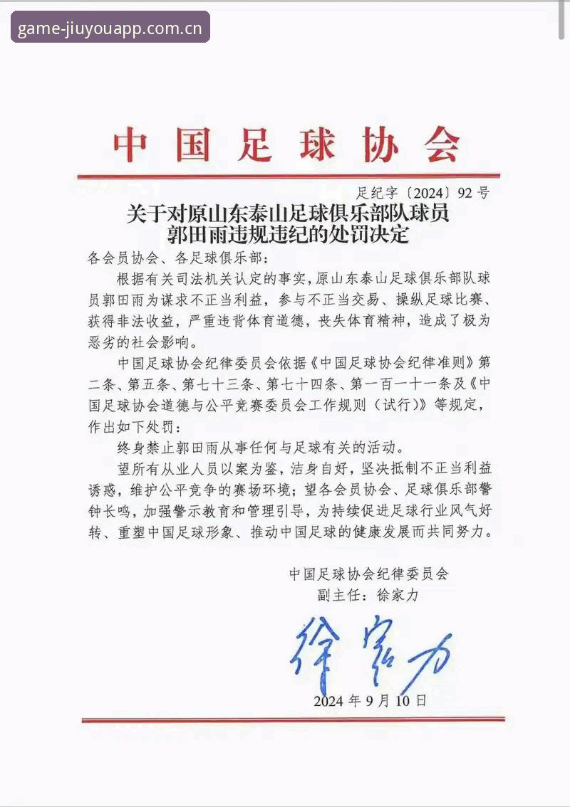 足协禁足名单终身vs5年：17人终身禁赛与48人限时处罚的对比分析