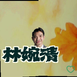 林婉清
